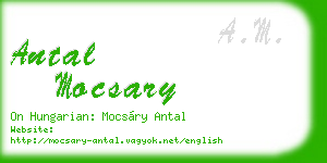 antal mocsary business card