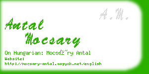 antal mocsary business card